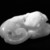  <em>Carving of a Recumbent Mythical Beast</em>, late 18th-early 19th century. Nephrite, 1 3/8 x 3 1/2 in. (3.5 x 8.9 cm). Brooklyn Museum, Gift of Stanley Herzman, 78.85.7. Creative Commons-BY (Photo: Brooklyn Museum, 78.85.7_bw.jpg)