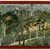  <em>Raja's Sporting, Kota School</em>, ca. 1790. Opaque watercolors, silver and gold on paper, 14 1/2 x 19 1/4 in. (36.8 x 48.9 cm). Brooklyn Museum, Gift of Jeffrey Kossak, 79.183 (Photo: Brooklyn Museum, 79.183_IMLS_SL2.jpg)