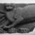  <em>The Goddess Mafdet (?)</em>, 3rd century B.C.E. Limestone, 11 x 16 1/8 x 3 3/4 in. (28 x 41 x 9.5 cm). Brooklyn Museum, Gift of the Egyptian Antiquities Organization, 80.7.7. Creative Commons-BY (Photo: Brooklyn Museum, 80.7.7_negA_bw_IMLS.jpg)