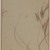  <em>Grasshopper on Stalk of Rice, Album Leaf Painting</em>, 19th century. Ink and color on paper, Image: 10 1/4 x 12 3/4 in. (26 x 32.4 cm). Brooklyn Museum, Gift of Dr. Jack Hentel, 81.204.22 (Photo: Brooklyn Museum, 81.204.22_IMLS_PS3.jpg)