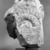  <em>Avalokiteshvara Padmapani</em>, 3rd-6th century. Limestone, 16 3/8 × 13 1/2 × 7 3/16 in. (41.6 × 34.3 × 18.3 cm). Brooklyn Museum, Gift of Georgia and Michael de Havenon, 81.280. Creative Commons-BY (Photo: Brooklyn Museum, 81.280_back_bw.jpg)