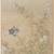  <em>Bush Clover and Chinese Bell Flowers, Album Leaf Painting</em>, 18th century. Album leaf, ink and color on paper, 15 1/8 x 11 1/8 in. (38.4 x 28.3 cm). Brooklyn Museum, Gift of Dr. Fred S. Hurst, 81.287.13 (Photo: Brooklyn Museum, 81.287.13_IMLS_PS4.jpg)