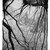 Stephen McMillan (American, born 1949). <em>Evening Sun</em>, 1980. Aquatint etching (3 plates) on paper, sheet: 41 3/4 x 29 1/2 in. (106 x 74.9 cm). Brooklyn Museum, Gift of Katherine Lincoln Press, 81.74.4. © artist or artist's estate (Photo: Brooklyn Museum, 81.74.4_bw.jpg)