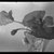 Consuelo Kanaga (American, 1894-1978). <em>[Untitled]</em>. Negative, 8 3/8 x 6 5/8 in. (21.3 x 16.8 cm). Brooklyn Museum, Gift of Wallace B. Putnam from the Estate of Consuelo Kanaga, 82.65.1987a-b (Photo: Brooklyn Museum, 82.65.1987a-b.jpg)