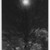 Consuelo Kanaga (American, 1894-1978). <em>Photographing into Water</em>, 1948. Toned gelatin silver print, Image: 10 3/4 x 6 7/8 in. (27.3 x 17.5 cm). Brooklyn Museum, Gift of Wallace B. Putnam from the Estate of Consuelo Kanaga, 82.65.2238 (Photo: Brooklyn Museum, 82.65.2238_bw_IMLS.jpg)
