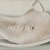 Georgia O'Keeffe (American, 1887-1986). <em>Rib and Jawbone (recto) and Tulip (verso)</em>, 1935 (recto); ca. 1926 (verso). Oil on canvas, 9 x 24 in.  (22.9 x 61.0 cm). Brooklyn Museum, Bequest of Georgia O'Keeffe, 87.136.5a-b. © artist or artist's estate (Photo: Brooklyn Museum, 87.136.5a-b_recto_PS22.jpg)