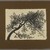 Peter Blume (American, 1906-1992). <em>Untitled (Branch of Tree)</em>, 1957. India ink on Japanese paper, 8 1/4 x 11 in. (21 x 27.9 cm). Brooklyn Museum, Bequest of Nancy S. Holsten in memory of Edward L. Holsten, 87.204.13. © artist or artist's estate (Photo: Brooklyn Museum, 87.204.13_PS4.jpg)