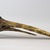  <em>Dagger</em>. Cassowary bone, 8 3/8 x 1 7/8 x 2 3/16 in. (21.3 x 4.8 x 5.6 cm). Brooklyn Museum, Gift of Marcia and John Friede and Mrs. Melville W. Hall, 87.218.52. Creative Commons-BY (Photo: Brooklyn Museum, 87.218.52_view01_PS8.jpg)