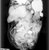 Navajo. <em>Bag containing clay from under water, from Medicine Bundle (aze jish)</em>. cotton cloth, overall size: 6.25 x 5.5 in. bundle dia: 1 1/8 in. (2 cm). Brooklyn Museum, Museum Expedition 1904, Museum Collection Fund, 04.297.7086.1. Creative Commons-BY (Photo: Brooklyn Museum, CONS.04.297.7086.1_1979_xrs_detail02.jpg)