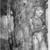 Edwin Willard Deming (American, 1860-1942). <em>The Indian Orpheus</em>, 1907. Oil on canvas, 39 15/16 x 34 1/16 in. (101.5 x 86.5 cm). Brooklyn Museum, Museum Collection Fund, 29.1197 (Photo: Brooklyn Museum, CONS.29.1197_1976_xrs_detail2.jpg)
