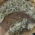  <em>Mask (Tatanua)</em>, 19th century. Wood, rattan, barkcloth, fiber, tapestry turban snail (Turbo petholatus) opercula, seeds, pigment, 21 × 10 × 14 in. (53.3 × 25.4 × 35.6 cm). Brooklyn Museum, Brooklyn Museum Collection, 01.74. Creative Commons-BY (Photo: , CUR.01.74_detail03.jpg)