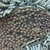  <em>Mask (Tatanua)</em>, 19th century. Wood, rattan, barkcloth, fiber, tapestry turban snail (Turbo petholatus) opercula, seeds, pigment, 21 × 10 × 14 in. (53.3 × 25.4 × 35.6 cm). Brooklyn Museum, Brooklyn Museum Collection, 01.74. Creative Commons-BY (Photo: , CUR.01.74_detail05.jpg)