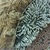  <em>Mask (Tatanua)</em>, 19th century. Wood, rattan, barkcloth, fiber, tapestry turban snail (Turbo petholatus) opercula, seeds, pigment, 21 × 10 × 14 in. (53.3 × 25.4 × 35.6 cm). Brooklyn Museum, Brooklyn Museum Collection, 01.74. Creative Commons-BY (Photo: , CUR.01.74_detail06.jpg)