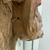  <em>Mask (Tatanua)</em>, 19th century. Wood, rattan, barkcloth, fiber, tapestry turban snail (Turbo petholatus) opercula, seeds, pigment, 21 × 10 × 14 in. (53.3 × 25.4 × 35.6 cm). Brooklyn Museum, Brooklyn Museum Collection, 01.74. Creative Commons-BY (Photo: , CUR.01.74_detail14.jpg)