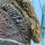  <em>Mask (Tatanua)</em>, 19th century. Wood, rattan, barkcloth, fiber, tapestry turban snail (Turbo petholatus) opercula, seeds, pigment, 21 × 10 × 14 in. (53.3 × 25.4 × 35.6 cm). Brooklyn Museum, Brooklyn Museum Collection, 01.74. Creative Commons-BY (Photo: , CUR.01.74_detail16.jpg)