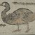 Roman. <em>Mosaic of Duck Facing Left</em>, 6th century C.E. Stone and mortar, 1 5/8 x 28 3/4 x 23 1/8 in. (4.1 x 73 x 58.7 cm). Brooklyn Museum, Museum Collection Fund, 05.20. Creative Commons-BY (Photo: Brooklyn Museum (in collaboration with Index of Christian Art, Princeton University), CUR.05.20_detail04_ICA.jpg)