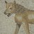 Roman. <em>Mosaic of a Hyena</em>, 19th century C.E. Stone and mortar, 1 3/8 x 18 1/4 x 18 1/4 in. (3.5 x 46.3 x 46.4 cm). Brooklyn Museum, Museum Collection Fund, 05.33. Creative Commons-BY (Photo: Brooklyn Museum (in collaboration with Index of Christian Art, Princeton University), CUR.05.33_detail03_ICA.jpg)