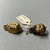 Greek. <em>Pair of Earrings</em>, 1st century B.C.E. Gold, 11/16 × 9/16 in. (1.7 × 1.4 cm). Brooklyn Museum, Ella C. Woodward Memorial Fund, 05.460.1-.2. Creative Commons-BY (Photo: Brooklyn Museum, CUR.05.460.1-.2_detail01.JPG)