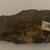 Pomo. <em>4 Blades (Du-wi-hi-jah) from "Doctor's Outfit,"</em> late 19th - early 20th century. Obsidian, pigment?, a: 1 1/4 × 1/2 × 3 13/16 in. (3.2 × 1.3 × 9.7 cm). Brooklyn Museum, Museum Expedition 1906, Museum Collection Fund, 06.331.7973a-d. Creative Commons-BY (Photo: Brooklyn Museum, CUR.06.331.7973a_bottom.jpg)