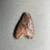  <em>Projectile Point</em>, ca. 4400–2170 B.C.E. Dark brown chert, 1 7/8 x 1/2 x 2 7/8 in. (4.7 x 1.3 x 7.3 cm). Brooklyn Museum, Charles Edwin Wilbour Fund, 07.447.1012. Creative Commons-BY (Photo: Brooklyn Museum, CUR.07.447.1012_back02.jpg)