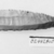  <em>Pointed Sickle Blade or Saw-Edged Knife</em>, ca. 3800-3500 B.C.E. Flint, 7/8 x 3 1/4 in. (2.2 x 8.3 cm). Brooklyn Museum, Charles Edwin Wilbour Fund, 07.447.810. Creative Commons-BY (Photo: , CUR.07.447.810_NegID_07.447.810GRPA_print_cropped_bw.jpg)