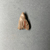  <em>Axe Head</em>, ca. 4400–2170 B.C.E. Gray chert, 2 5/16 x 7/8 x 2 15/16 in. (5.9 x 2.3 x 7.5 cm). Brooklyn Museum, Charles Edwin Wilbour Fund, 07.447.998. Creative Commons-BY (Photo: Brooklyn Museum, CUR.07.447.998_back02.jpg)