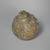  <em>Spheroconical Vessel</em>, 13th century. Ceramic, fritware, 5 7/16 x 4 7/16 in. (13.8 x 11.2 cm). Brooklyn Museum, Gift of Robert B. Woodward, 09.313. Creative Commons-BY (Photo: Brooklyn Museum, CUR.09.313_view1.jpg)