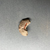  <em>Crescent Shape Implement</em>, ca. 3100–2675 B.C.E. or ca. 2675–2170 B.C.E. Chert, Length: 1 3/4 in. (4.5 cm). Brooklyn Museum, Charles Edwin Wilbour Fund, 09.889.156. Creative Commons-BY (Photo: Brooklyn Museum, CUR.09.889.156_back01.jpg)