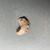  <em>Crescent Shape Implement</em>, ca. 3100–2675 B.C.E. or ca. 2675–2170 B.C.E. Chert, Length: 1 3/4 in. (4.5 cm). Brooklyn Museum, Charles Edwin Wilbour Fund, 09.889.156. Creative Commons-BY (Photo: Brooklyn Museum, CUR.09.889.156_overall02.jpg)