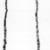  <em>Necklace</em>, ca. 3850-3500 B.C.E. Quartz, carnelian, agate, steatite, serpentine, Approximate length: 18 7/8 in. (48 cm). Brooklyn Museum, Charles Edwin Wilbour Fund, 09.889.313a. Creative Commons-BY (Photo: , CUR.09.889.313a_NegID_07.447.765GRPA_print_cropped_bw.jpg)
