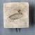  <em>Mold for Making a Benu Bird</em>. Limestone, 4 9/16 × 4 1/2 × 1 1/2 in. (11.6 × 11.5 × 3.8 cm). Brooklyn Museum, Gift of Evangeline Wilbour Blashfield, Theodora Wilbour, and Victor Wilbour honoring the wishes of their mother, Charlotte Beebe Wilbour, as a memorial to their father, Charles Edwin Wilbour, 16.127. Creative Commons-BY (Photo: , CUR.16.127_view01.jpg)