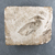  <em>Mold for Making a Benu Bird</em>. Soft limestone, 4 1/2 × 5 9/16 × 1 7/16 in. (11.5 × 14.1 × 3.6 cm). Brooklyn Museum, Gift of Evangeline Wilbour Blashfield, Theodora Wilbour, and Victor Wilbour honoring the wishes of their mother, Charlotte Beebe Wilbour, as a memorial to their father, Charles Edwin Wilbour, 16.128. Creative Commons-BY (Photo: , CUR.16.128_view01.jpg)