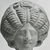  <em>Female Head</em>, 3rd century C.E. Clay, 2 5/16 x 1 15/16 x 2 1/4 in. (6 x 4.9 x 5.7 cm). Brooklyn Museum, Gift of Evangeline Wilbour Blashfield, Theodora Wilbour, and Victor Wilbour honoring the wishes of their mother, Charlotte Beebe Wilbour, as a memorial to their father, Charles Edwin Wilbour, 16.228. Creative Commons-BY (Photo: Brooklyn Museum, CUR.16.228_NegA_print_bw.jpg)
