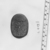  <em>Heart Scarab</em>, 664–332 B.C.E. Stone, 1 x 1 5/8 x 2 3/16 in. (2.6 x 4.2 x 5.6 cm). Brooklyn Museum, Gift of Evangeline Wilbour Blashfield, Theodora Wilbour, and Victor Wilbour honoring the wishes of their mother, Charlotte Beebe Wilbour, as a memorial to their father, Charles Edwin Wilbour, 16.409. Creative Commons-BY (Photo: , CUR.16.409_NegE_print_bw.jpg)