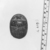  <em>Heart Scarab</em>, 664–332 B.C.E. Stone, 1 x 1 5/8 x 2 3/16 in. (2.6 x 4.2 x 5.6 cm). Brooklyn Museum, Gift of Evangeline Wilbour Blashfield, Theodora Wilbour, and Victor Wilbour honoring the wishes of their mother, Charlotte Beebe Wilbour, as a memorial to their father, Charles Edwin Wilbour, 16.409. Creative Commons-BY (Photo: , CUR.16.409_NegF_print_bw.jpg)