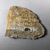  <em>Fragment from Stela</em>, ca. 1539-1075 B.C.E. Limestone, pigment, 5 1/4 × 6 1/2 × 1 1/8 in. (13.3 × 16.5 × 2.8 cm). Brooklyn Museum, Gift of Evangeline Wilbour Blashfield, Theodora Wilbour, and Victor Wilbour honoring the wishes of their mother, Charlotte Beebe Wilbour, as a memorial to their father, Charles Edwin Wilbour, 16.580.157. Creative Commons-BY (Photo: , CUR.16.580.157_view01.jpg)