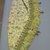  <em>Set of Drapes and Components</em>, early 20th century. Silk, silk embroidery thread, cotton, burlap, wood, a: 24 1/2 x 87 in. (62.2 x 221 cm). Brooklyn Museum, Gift of Frederic B. Pratt, 17004a-bbbb (Photo: Brooklyn Museum, CUR.17004b.jpg)