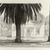 Robert Ginder (American, born 1948). <em>Study for Scene with Palm Trees</em>, 1993. Wash and graphite on paper, sheet: 15 x 20 1/4 in. (38.1 x 51.4 cm). Brooklyn Museum, Gift of the artist and the New York Foundation for the Arts, 1993.164. © artist or artist's estate (Photo: Brooklyn Museum, CUR.1993.164.jpg)