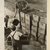 Arthur Rothstein (American, 1915-1985). <em>Child Labor, Cranberry Bog</em>, 1939. Gelatin silver photograph, sheet: 10 x 8 in. (25.4 x 20.4 cm). Brooklyn Museum, Gift of Mitchell F. Deutsch, 1995.206.4 (Photo: Brooklyn Museum, CUR.1995.206.4.jpg)
