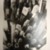 Ralph Gibson (American, born 1939). <em>Chuck Close</em>, 1993. Gelatin silver photograph, image (each): 12 1/2 x 8 1/4 in. (31.8 x 21 cm). Brooklyn Museum, Gift of Adam Sutner, 1996.244.1a-h. © artist or artist's estate (Photo: Brooklyn Museum, CUR.1996.244.1a.jpg)