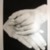 Ralph Gibson (American, born 1939). <em>Chuck Close</em>, 1993. Gelatin silver photograph, image (each): 12 1/2 x 8 1/4 in. (31.8 x 21 cm). Brooklyn Museum, Gift of Adam Sutner, 1996.244.1a-h. © artist or artist's estate (Photo: Brooklyn Museum, CUR.1996.244.1f.jpg)