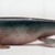  <em>Fish Decoy, Sucker</em>, ca. 1890. Painted wood, metals, glass, 2 x 9 1/4 x 3 in.  (5.1 x 23.5 x 7.6 cm). Brooklyn Museum, Gift of the North American Fish Decoy Partners, 1998.148.44. Creative Commons-BY (Photo: Brooklyn Museum, CUR.1998.148.44.jpg)
