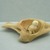 Inuit. <em>Bird in Nest</em>, 1950-1980. Ivory, bone joint, 1 1/2 x 4 1/8 x 2 1/2 in. (3.8 x 10.5 x 6.4 cm). Brooklyn Museum, Hilda and Al Schein Collection, 2004.79.46. Creative Commons-BY (Photo: Brooklyn Museum, CUR.2004.79.46.jpg)