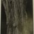 Stephen Shore (American, born 1947). <em>Annandale-on-Hudson, New York</em>, 1995. Gelatin silver photograph, 10 × 8 in. (25.4 × 20.3 cm). Brooklyn Museum, Gift of The Carol and Arthur Goldberg Collection, 2016.18.11. © artist or artist's estate (Photo: , CUR.2016.18.11.jpg)