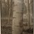 Stephen Shore (American, born 1947). <em>Luzzara, Italy</em>, 1993. Gelatin silver photograph, 10 × 8 in. (25.4 × 20.3 cm). Brooklyn Museum, Gift of The Carol and Arthur Goldberg Collection, 2016.18.5. © artist or artist's estate (Photo: , CUR.2016.18.5.jpg)