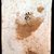 Korean. <em>Epitaph Tablet for Bak Eun (1479-1504), from a Set of 14</em>, 1509. Porcelain with underglaze, 9 1/2 × 6 3/8 × 1 1/8 in. (24.1 × 16.2 × 2.9 cm). Brooklyn Museum, Carroll Family Collection, 2017.29.34 (Photo: , CUR.2017.29.34_verso.jpg)