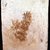 Korean. <em>Epitaph Tablet for Bak Eun (1479-1504), from a Set of 14</em>, 1509. Porcelain with underglaze, 9 3/8 × 6 7/8 × 1 in. (23.8 × 17.5 × 2.5 cm). Brooklyn Museum, Carroll Family Collection, 2017.29.36 (Photo: , CUR.2017.29.36_verso.jpg)