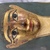  <em>Cartonnage Mummy Mask</em>, ca. 330 B.C.E.-50 C.E. Gesso, gilding, pigment, gauze or linen, 14 3/16 × 10 13/16 × 8 11/16 in. (36 × 27.5 × 22 cm). Brooklyn Museum, Bequest of Harold and Mildred Jacobs, 2022.1.1 (Photo: Brooklyn Museum, CUR.2022.1.1_view02.jpg)