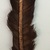 Tukano. <em>Feather on Stick</em>, early 20th century. Feathers, wood, thread (cotton or plant fiber), 14 5/16 × 2 × 5/16 in. (36.4 × 5.1 × 0.8 cm). Brooklyn Museum, Gift of Caspar Whitney, 23.282.17. Creative Commons-BY (Photo: Brooklyn Museum, CUR.23.282.17_view02.jpg)