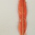 Tukano. <em>Feathers</em>, early 20th century. Feathers, cotton, resin, a: 17 × 4 × 1/4 in. (43.2 × 10.2 × 0.6 cm). Brooklyn Museum, Gift of Caspar Whitney, 23.282.25a-h. Creative Commons-BY (Photo: Brooklyn Museum, CUR.23.282.25f.jpg)